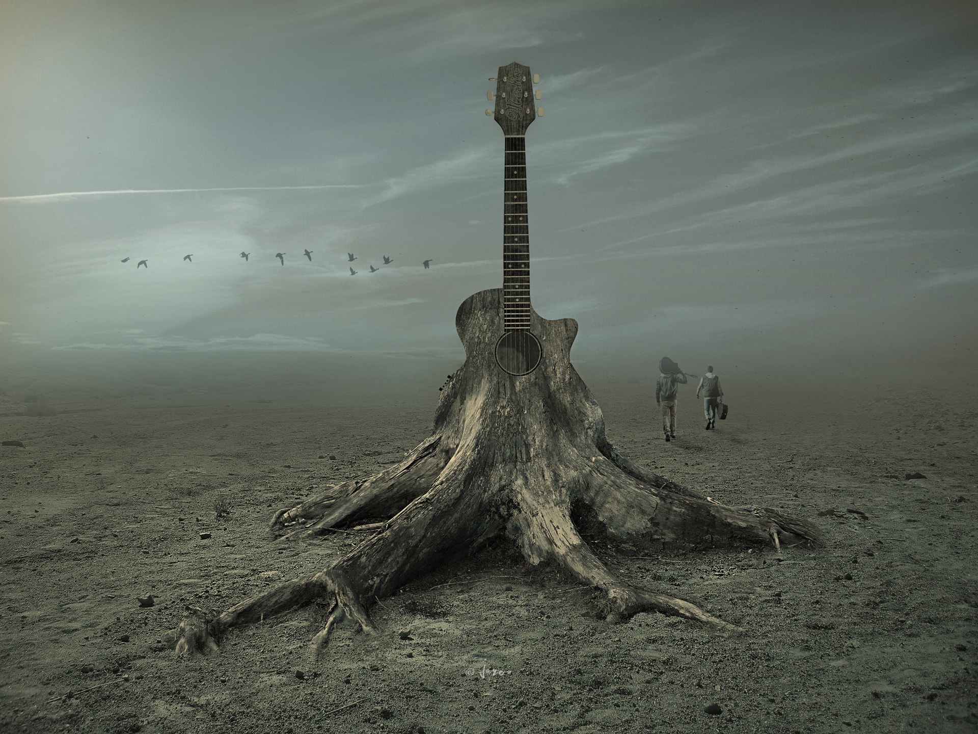 Duo Acoustic CD Cover - Photo manipulations by Jaro